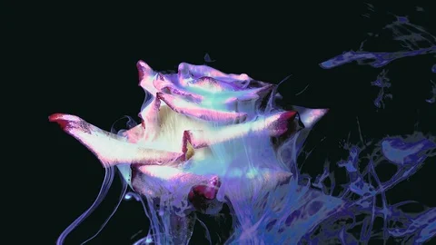 Amazing Spring Flowers In Timelapse Mode. Iridescent Art Stock Footage 103590686