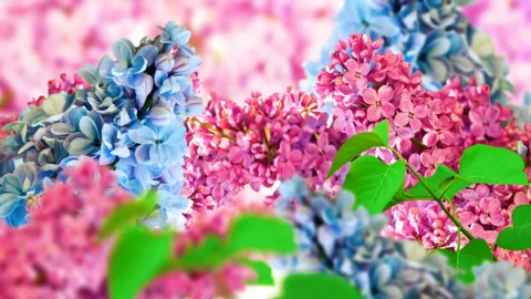 Amazing spring lilac on a flower postcard. Natural background with butterflie Stockbeeldmateriaal 89607606