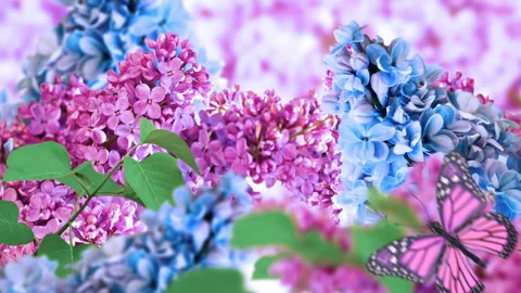 Amazing spring lilac on a flower postcard. Natural background with butterflie Stock-Footage 89607973