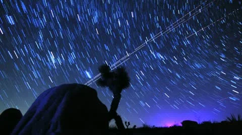 Amazing Star Trails Pass Over Joshua Tree in Galaxy Timelapse Stock Footage
