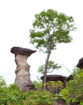 The amazing of stone Stock Photos