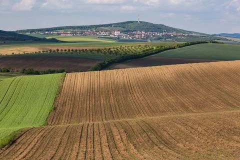 Amazing stripe patterns on fields of South Moravia, green and yellow fresh sp Stock Photos