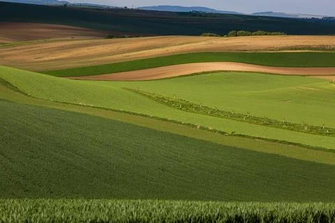 Amazing stripe patterns on fields of South Moravia, green and yellow fresh sp Stock Photos