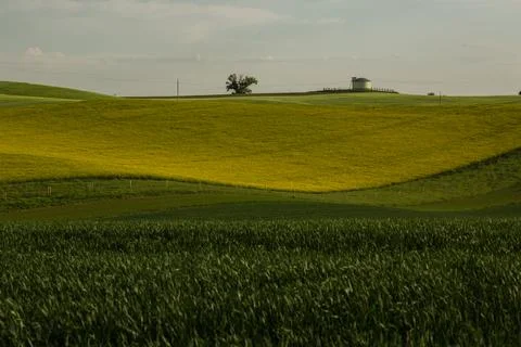 Amazing stripe patterns on fields of South Moravia, green and yellow fresh sp Stock Photos