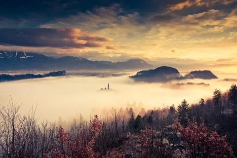 Amazing sunrise at lake Bled from Ojstrica viewpoint, Slovenia, Europe - trav Stock Photos