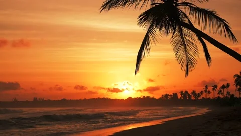 Amazing sunrise on a wild tropical beach. Sun appears on the horizon, view Stock Footage 226973634