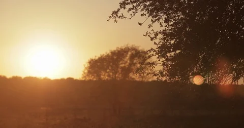 Amazing Sunset Behind Enchanted Ranch Fence, Texas, USA Stock Footage 120381145