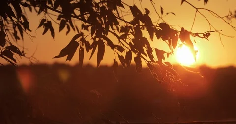 Amazing Sunset Behind Enchanted Ranch Fence, Texas, USA Stock Footage 120382704