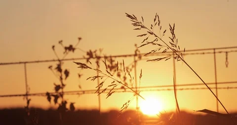 Amazing Sunset Behind Enchanted Ranch Fence, Texas, USA Stock Footage 120383221
