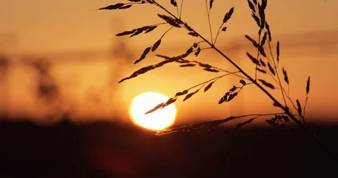 Amazing Sunset Behind Enchanted Ranch Fence, Texas, USA Stock Footage 120384092