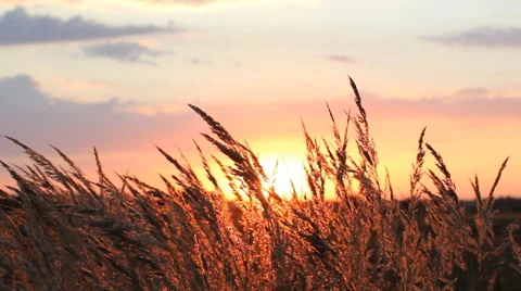 Amazing sunset in the countryside. Stock Footage 67628653