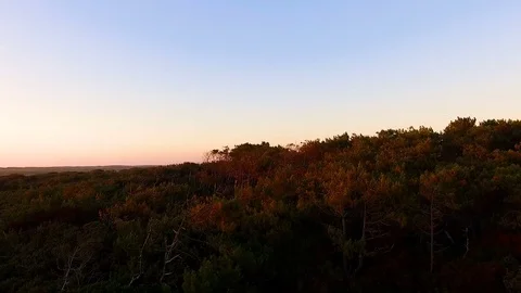 Amazing sunset Stock Footage 80367828