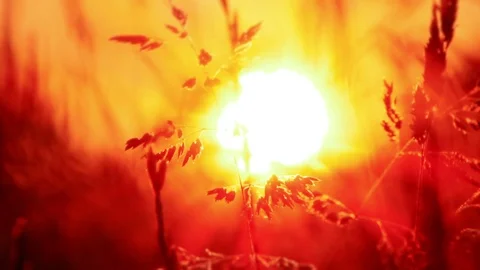 Amazing sunset in pretty meadow Stock Footage 72560829
