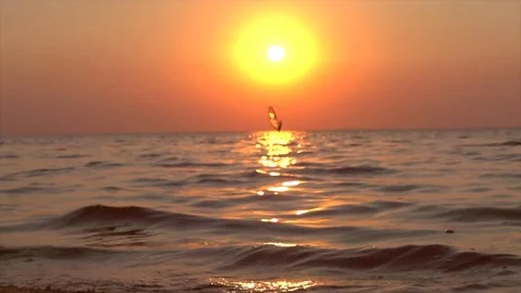 Amazing sunset with reflection on water and windsurfer on horizon Stock Footage 78348704