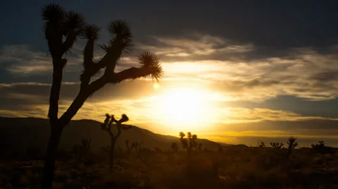 Amazing Super Moon Rises over Joshua Tree Timelapse with Incredible Stars Stock Footage 35426009