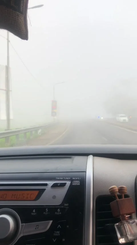 Amazing thick fog 스톡 동영상 208230237