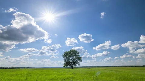 Amazing time lapse of clouds with the view of single tree. Stock Footage 132430772