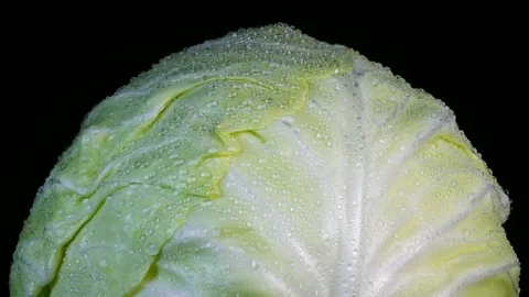 Amazing top of white cabbage head in water drops, rotating on black background Stock Footage 77716832
