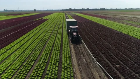 Amazing tractor on field, fly by Vídeos de archivo 161811875