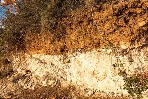 An amazing vertical cross-section of a layer of soil in Cyprus with a brown p Stock-Fotos