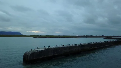 Amazing View Aerial of Small harbor in Eyrarbakki Harbour Iceland Stock Footage 118271012