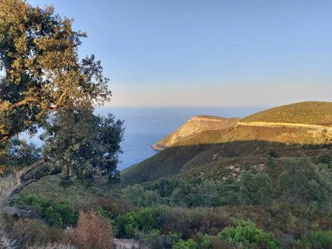 Amazing view of beach from the forest Stock Photos