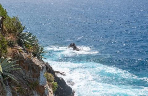 Amazing View to the Cactus, Cliffs and Pacific Ocean Waves Stock Photos