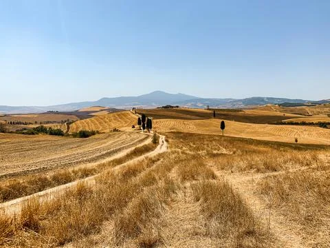 Amazing view on Chianti Cornfields Stock Photos
