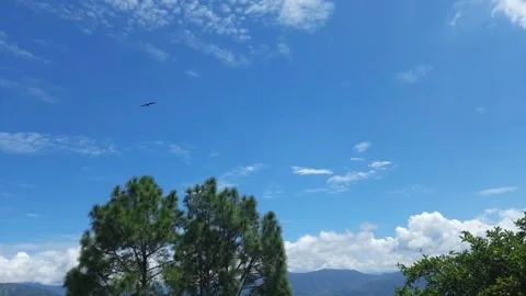 Amazing view of eagle flying in the sky Video stock 283058181