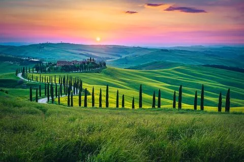 Amazing view with green grain fields at sunset, Tuscany, Italy Stock Photos
