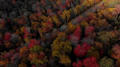 Amazing view of Kancamagus Highway in New Hampshire during Foliage season USA Video stock 126944053