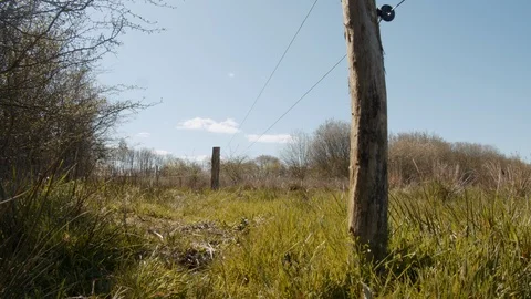 Amazing View of a Landscape in Denmark with Grass and Trees Against Blue Sky Video stock 114573477