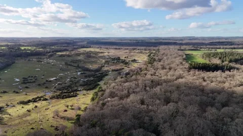 Amazing view over the New Forest Stock Footage 266170169