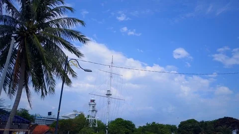 Amazing View of palm tree with beautiful blue sky Video stock 108796396