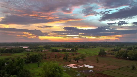 Amazing view of rice fields in the evening in rainy season, Video stock 310296111