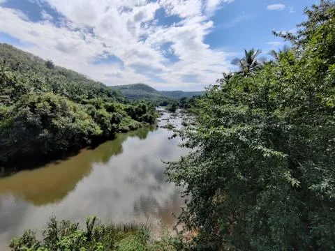 Amazing view of river flow between the greenery Stock Photos