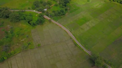 Amazing view of road at rice fields at sunrise Sri Lanka drone footage Stock Footage 85367865