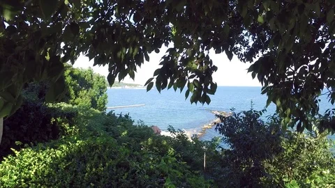 Amazing view of the seashore with beach and lush vegetation on sunny summer day Stock Footage 71966659
