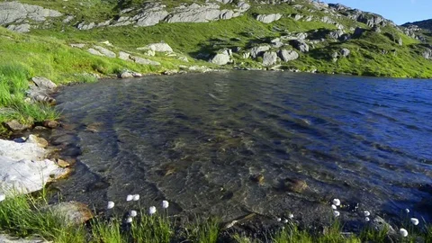 Amazing view of small lake Stock Footage 82351720