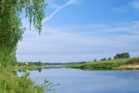 Amazing view of still river under birch with clear sky Stock Photos
