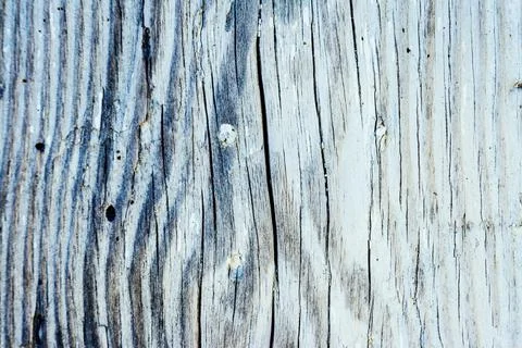 Amazing view on vintage wood background with dry peeling paint. Instagram ton Stock Photos
