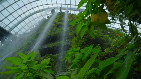 Amazing view of waterfall Cloud Forest dome, Singapore Stock Footage 116105094