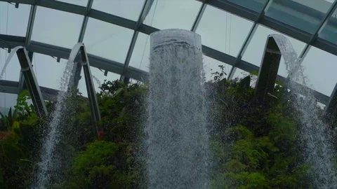 Amazing view of waterfall Cloud Forest dome Stock Footage 116117507
