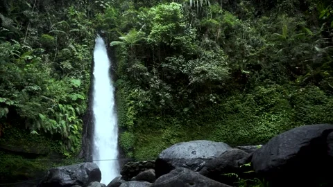 Amazing view of waterfall in tropical rain forest Stock Footage 317296860