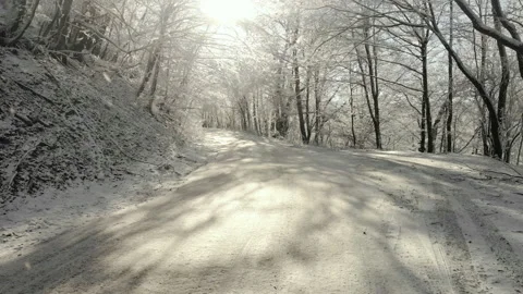 Amazing view of the winter road. Winter forest Stock Footage 148732505