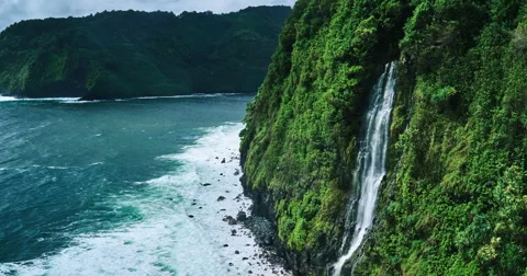 Amazing Waterfall along Tropical Rain Forest Coastline Stock Footage