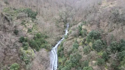 Amazing waterfall forest Stock Footage 263869757