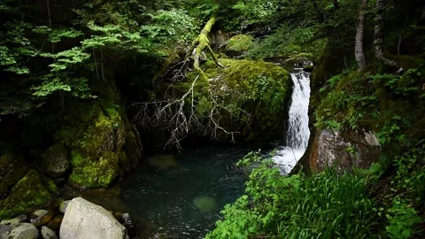 Amazing waterfall in the mountains. Stock Footage 167903290