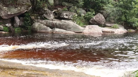 Amazing waterfall with a strong river and organic water 스톡 동영상 345679402