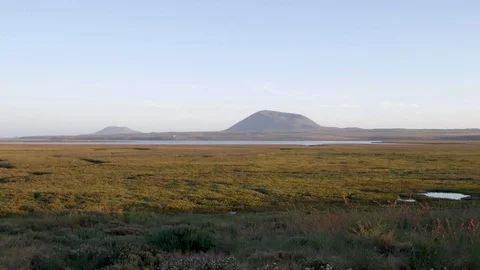 Amazing wetlands with a volcano in the background in a sunny day in 4k Stock Footage